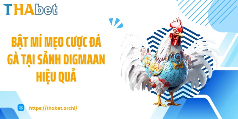 Bật mí mẹo cược đá gà tại sảnh Digmaan hiệu quả