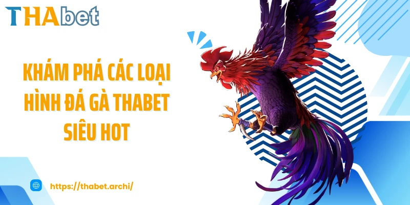 Khám phá các loại hình đá gà THABET siêu hot