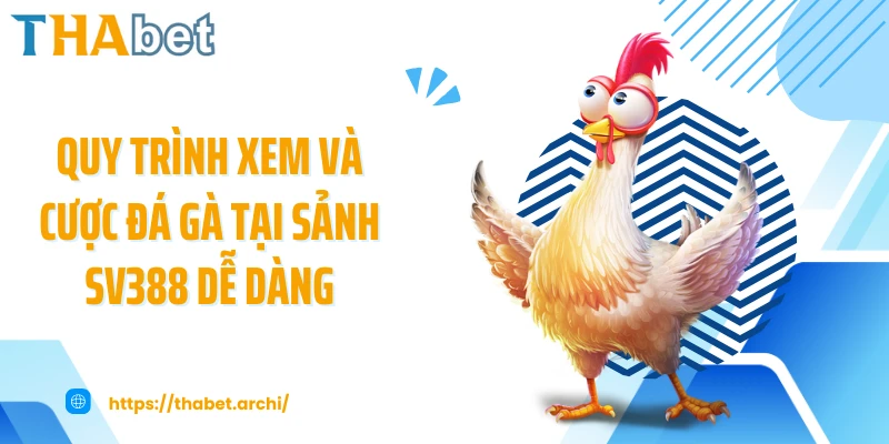 Quy trình xem và cược đá gà tại sảnh SV388 dễ dàng