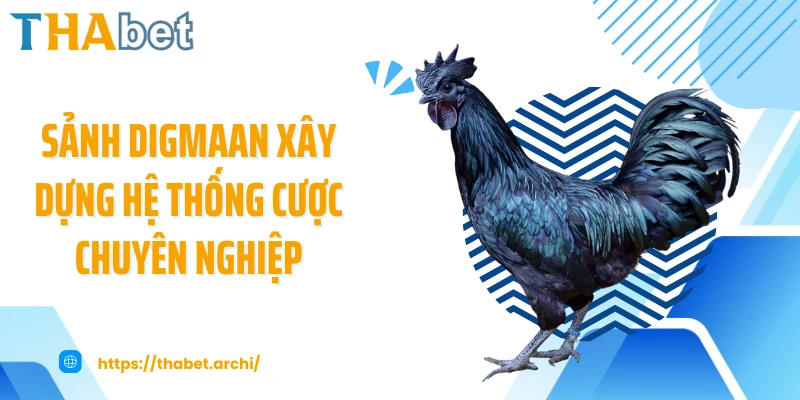 Sảnh Digmaan xây dựng hệ thống cược chuyên nghiệp