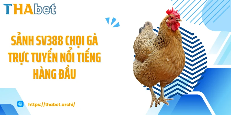 Sảnh SV388 chọi gà trực tuyến nổi tiếng hàng đầu